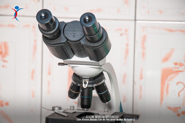 SERODIAGNOSTIC WIDAL ET FELIX (TYPHOIDE)